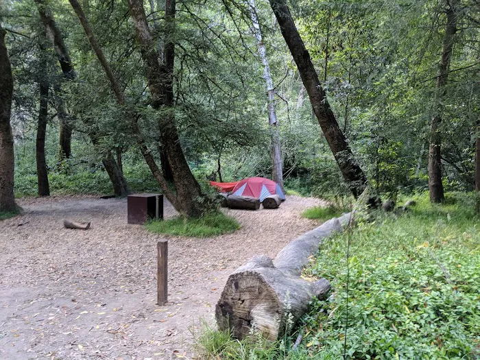 Twin Redwoods Trail Camp 1