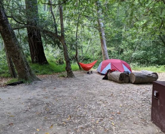 Twin Redwoods Trail Camp