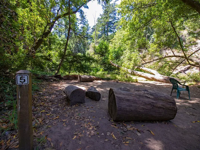 Twin Redwoods Trail Camp 6