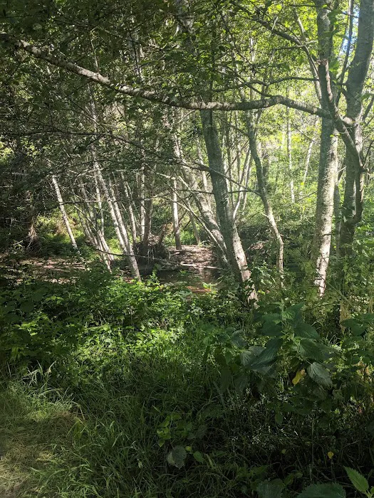 Alder Trail Camp 4