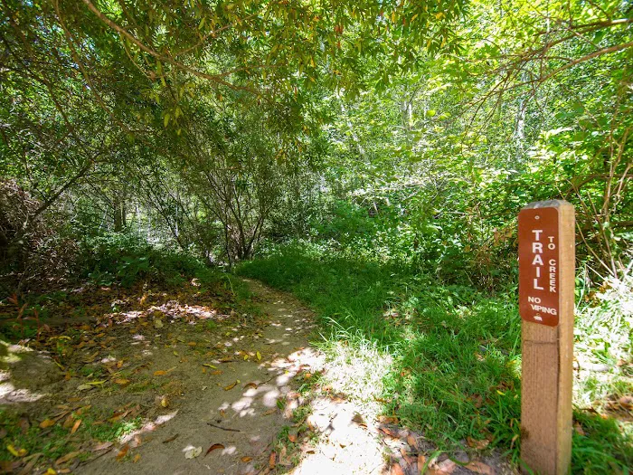 Alder Trail Camp 6
