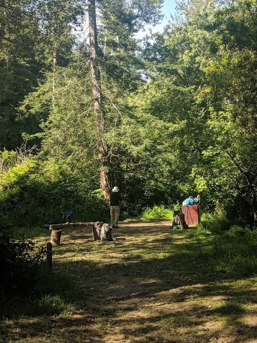 Alder Trail Camp 8