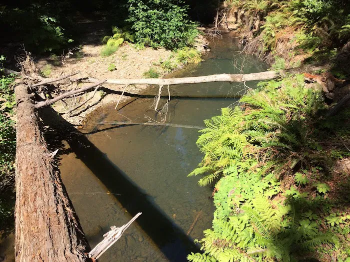Alder Trail Camp 1