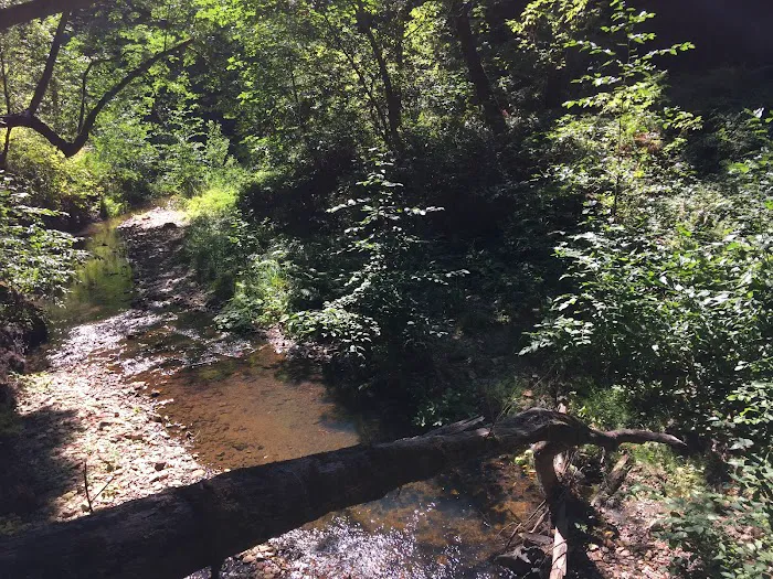 Alder Trail Camp 0