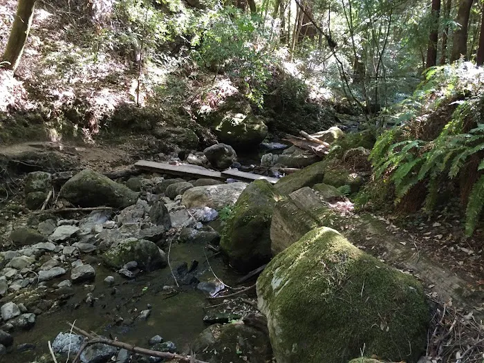 Alder Trail Camp 3