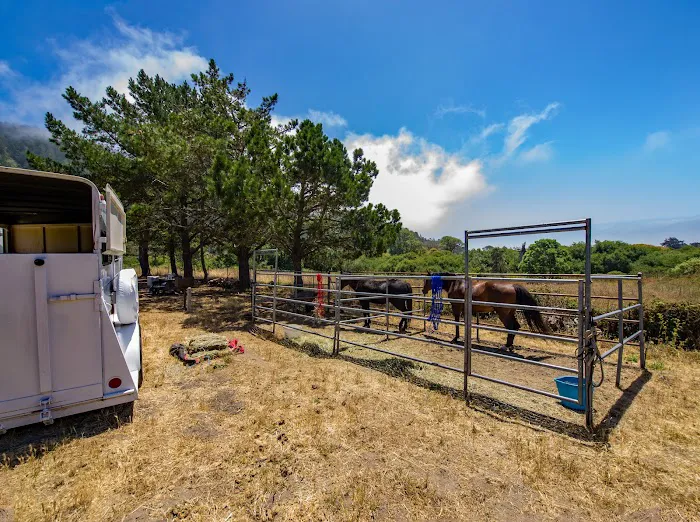 Rancho del Oso Walk-in & Bike-in Campground 7