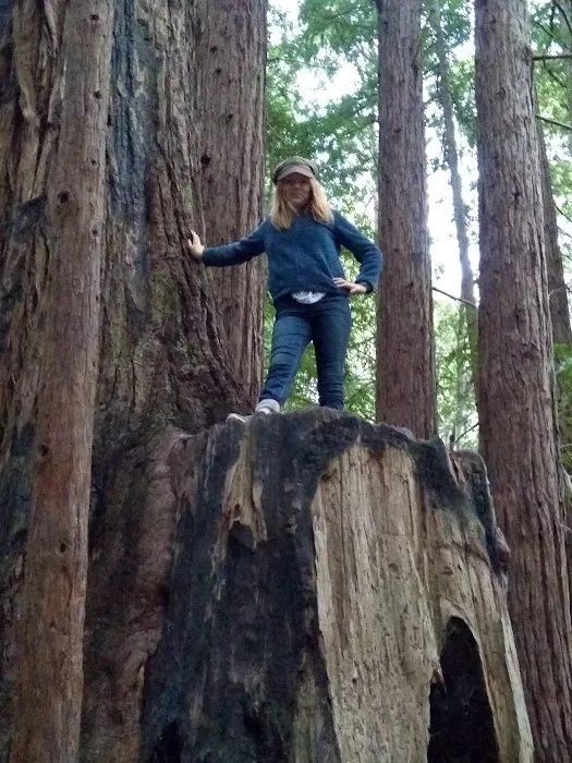 Butano Trail Camp 1