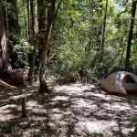 Butano Trail Camp