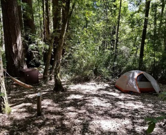 Butano Trail Camp