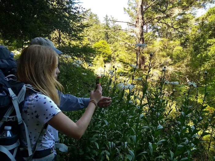Butano Trail Camp 2