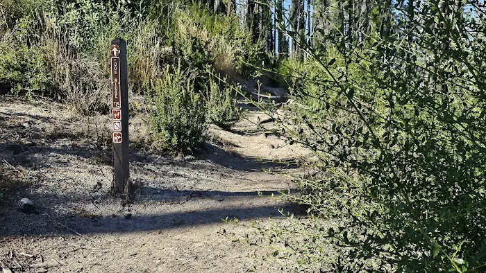 Ben Ries Campground, Butano State Park 0