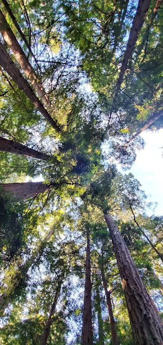 Ben Ries Campground 0