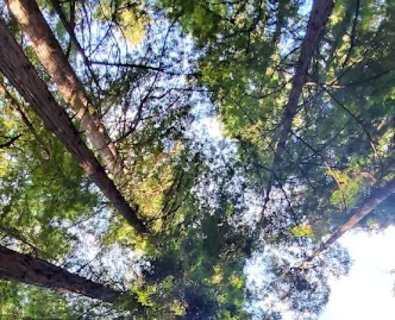 Ben Ries Campground