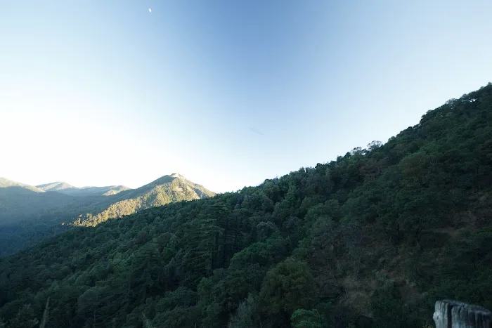 Bottchers Gap Campground 6
