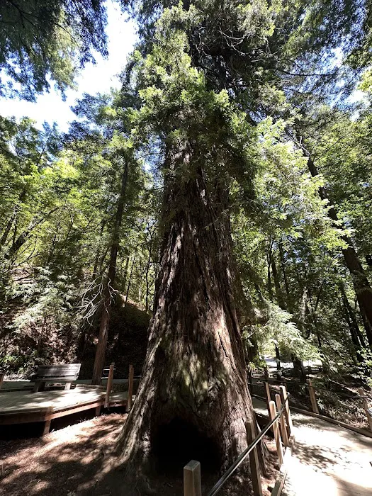 Pfeiffer Big Sur State Park Main Camp 4