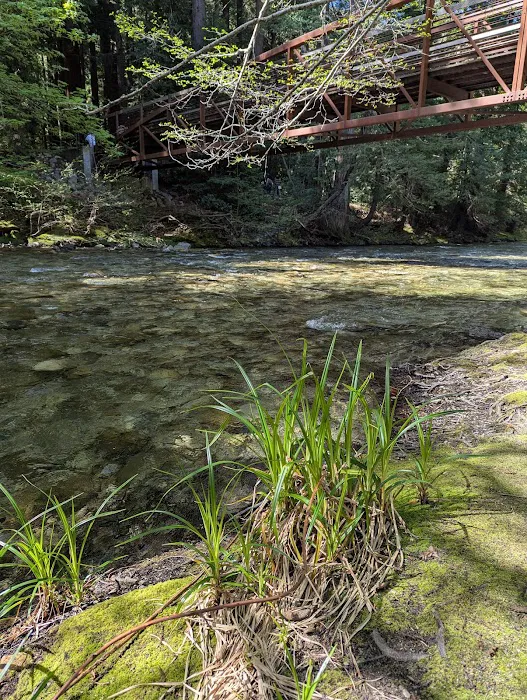 Pfeiffer Big Sur State Park Main Camp 5