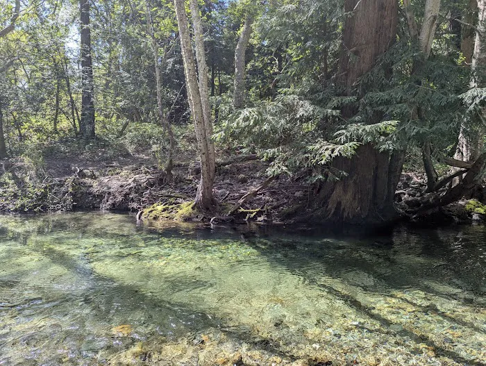 Pfeiffer Big Sur State Park Main Camp 6