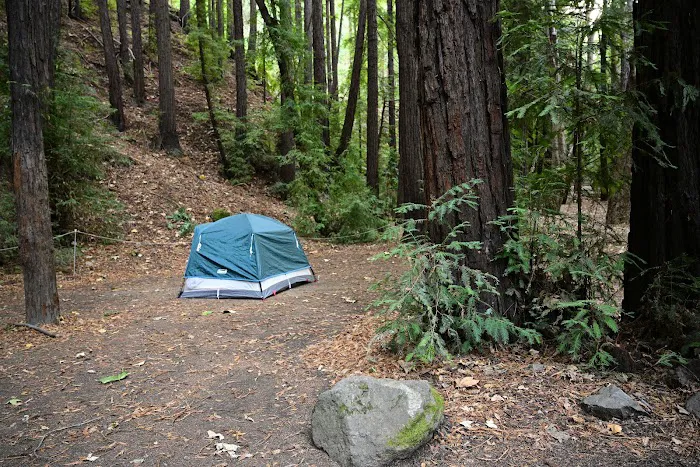 Pfeiffer Big Sur State Park Main Camp 7