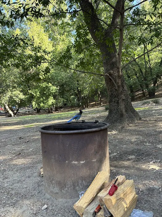 Weyland Campground 9
