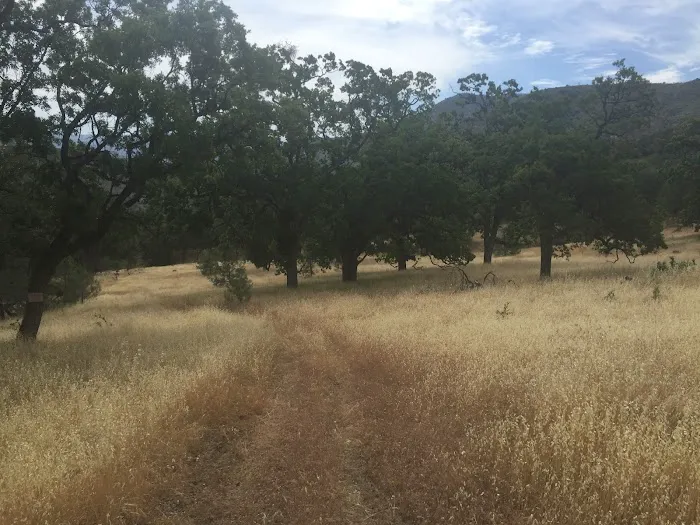 Sweetwater Campground 6