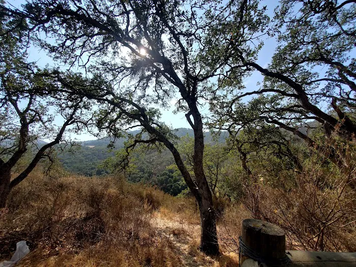 Radio Ridge 3