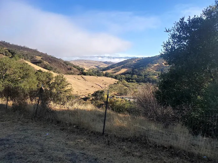 Radio Ridge 5