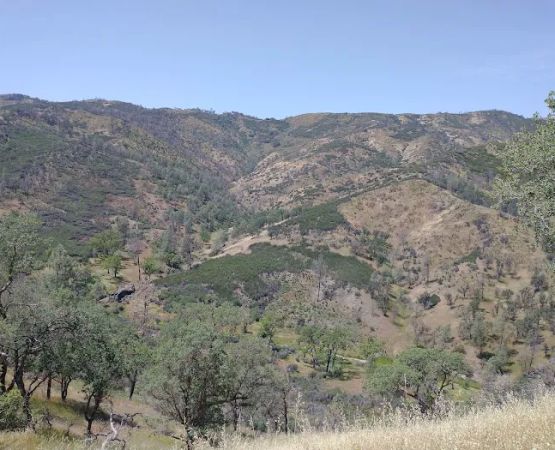 Orestimba Corral