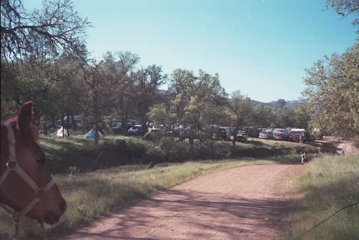 Orestimba Corral 5