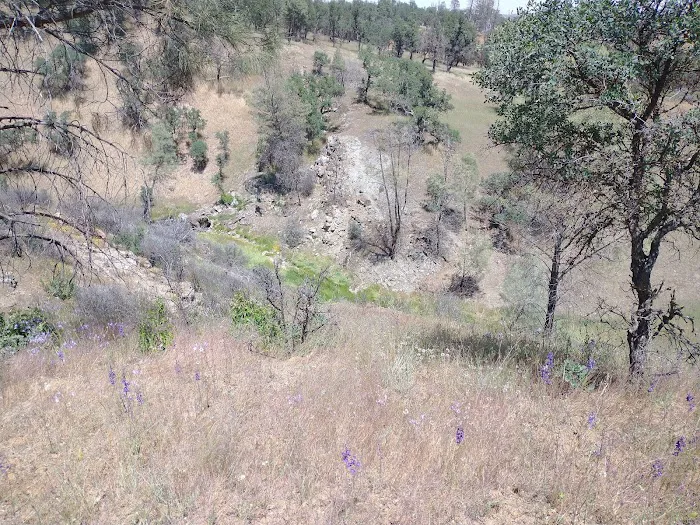 Orestimba Corral 3