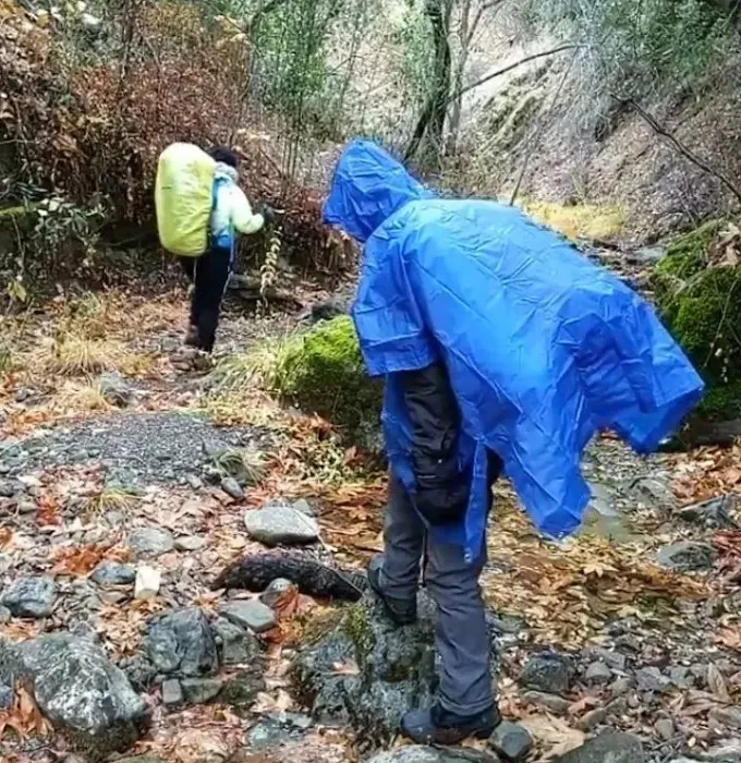 Willow Ridge Trail Camp 2