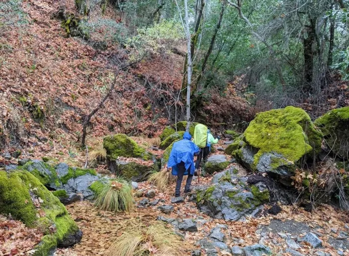 Willow Ridge Trail Camp 1