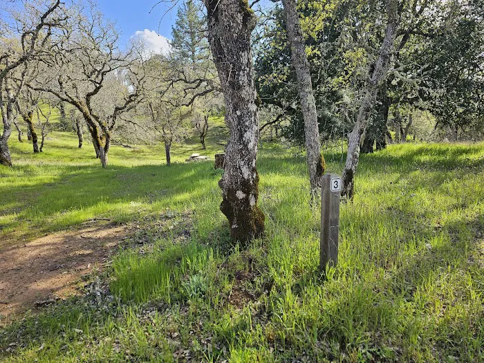 Manzanita Point Camps 0