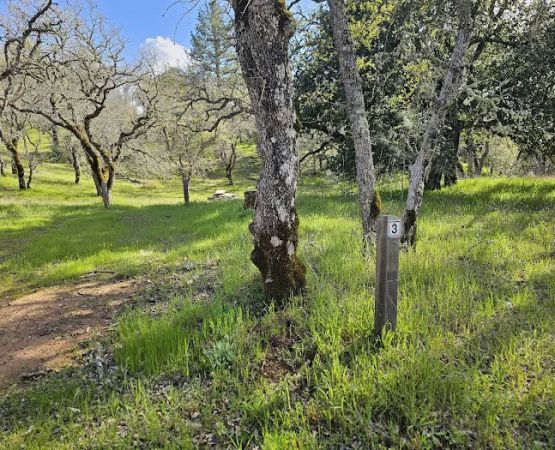 Manzanita Point Camps
