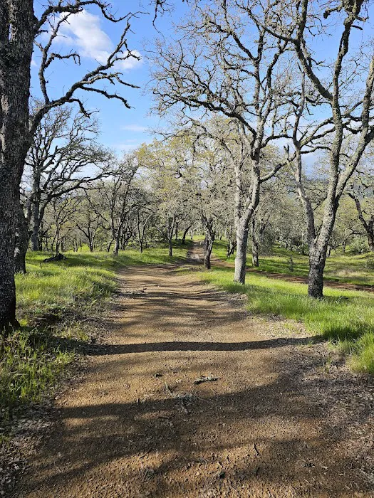 Manzanita Point Camps 5