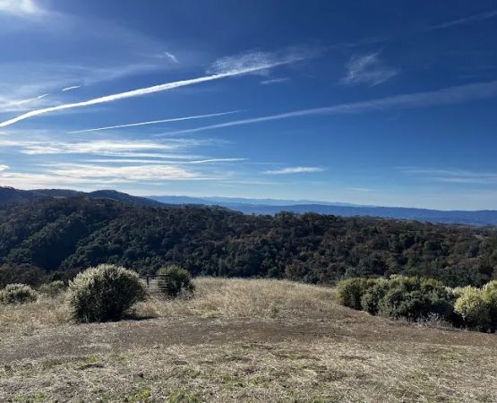 Coe Ranch Campground