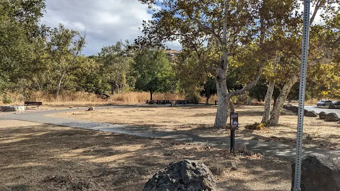 Wild Turkey Group Camp 1