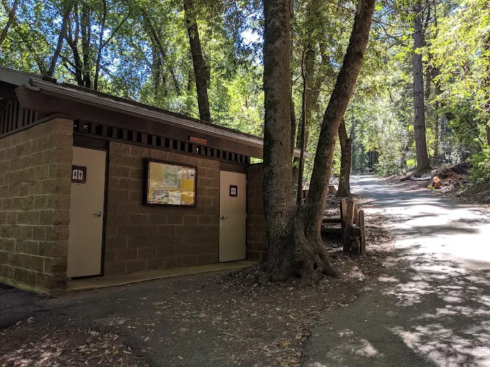 Bullfrog Pond Campground 7