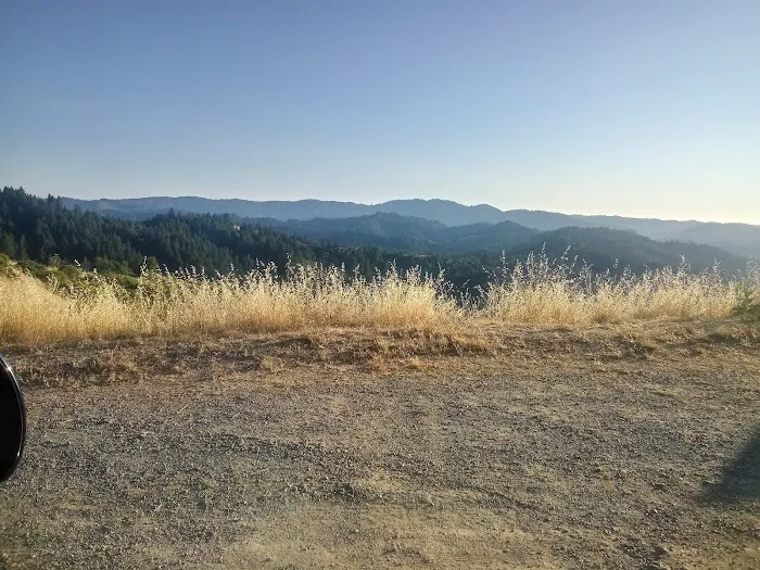 Bullfrog Pond Campground 5