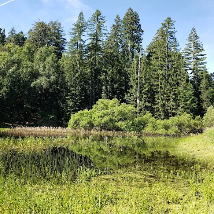 Bullfrog Pond Campground 9