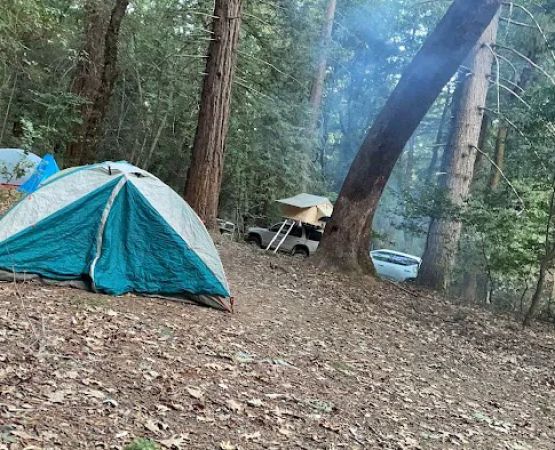 Bullfrog Pond Campground