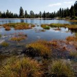 Camp Sixty One Campground