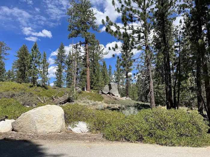 Mono Creek Campground 6