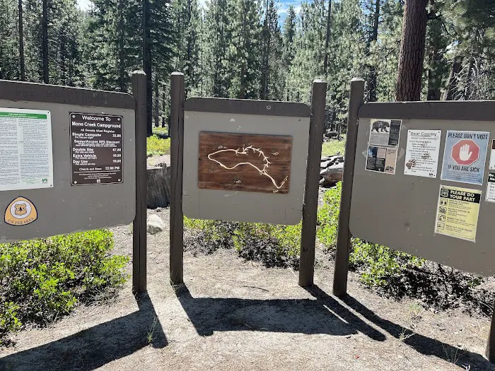 Mono Creek Campground 8