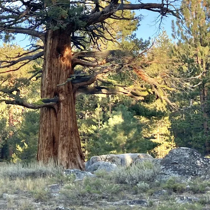 Mono Creek Campground 9