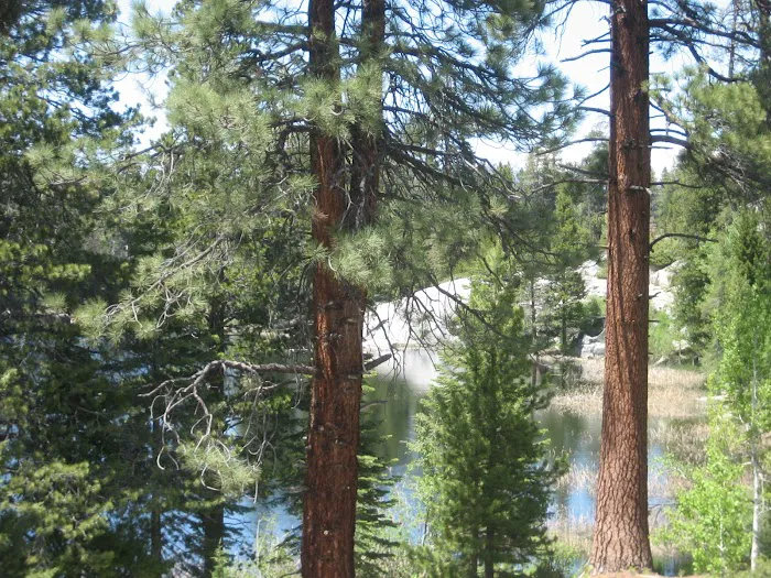 Ward Lake Campground 4
