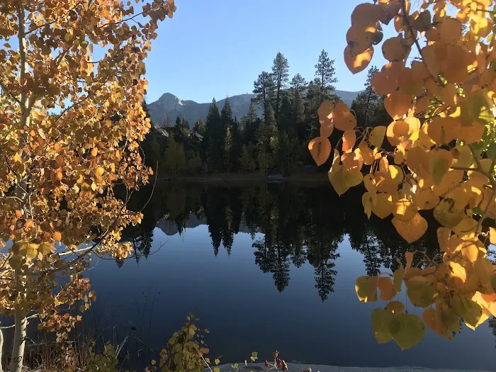 Ward Lake Campground 2