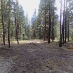 Mono Creek Day Use Area