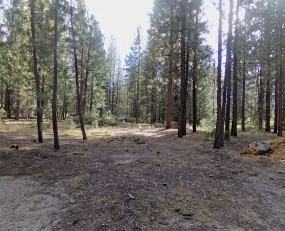 Mono Creek Day Use Area