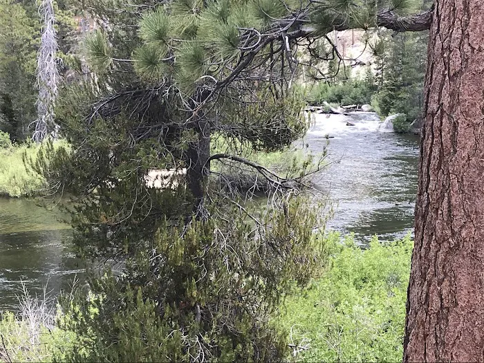 Mono Creek Day Use Area 9