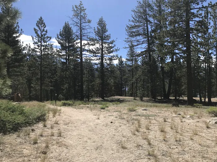 Mono Creek Day Use Area 5